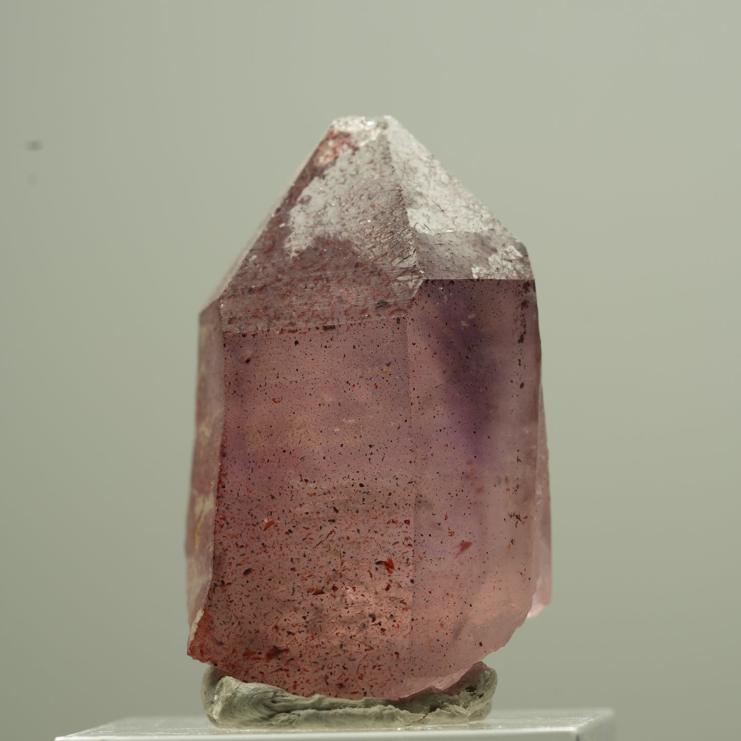 Seltene Phantom Amethyst Zepter mit Eisen Spitze Goboboseb, Namibia 18*13*12mm #13744
