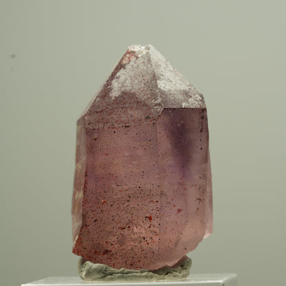 Seltene Phantom Amethyst Zepter mit Eisen Spitze Goboboseb, Namibia 18*13*12mm #13744