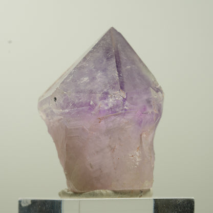 Seltene Phantom Amethyst Zepter Spitze Goboboseb, Namibia 38*33*28mm #13770