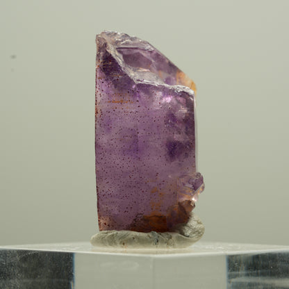 Seltene Phantom Amethyst Spitze Goboboseb, Namibia 28*16*15mm #13774