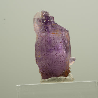 Seltene Phantom Amethyst Spitze Goboboseb, Namibia 28*16*15mm #13774