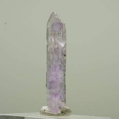 Skelett Phantom Amethyst Spitze Goboboseb, Namibia 36*8*6mm #13779