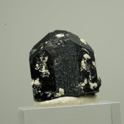 Seltener Schörl Turmalin Kristall mit Orthoklas, schwarz Erongo, Namibia 22*22*21mm #13788