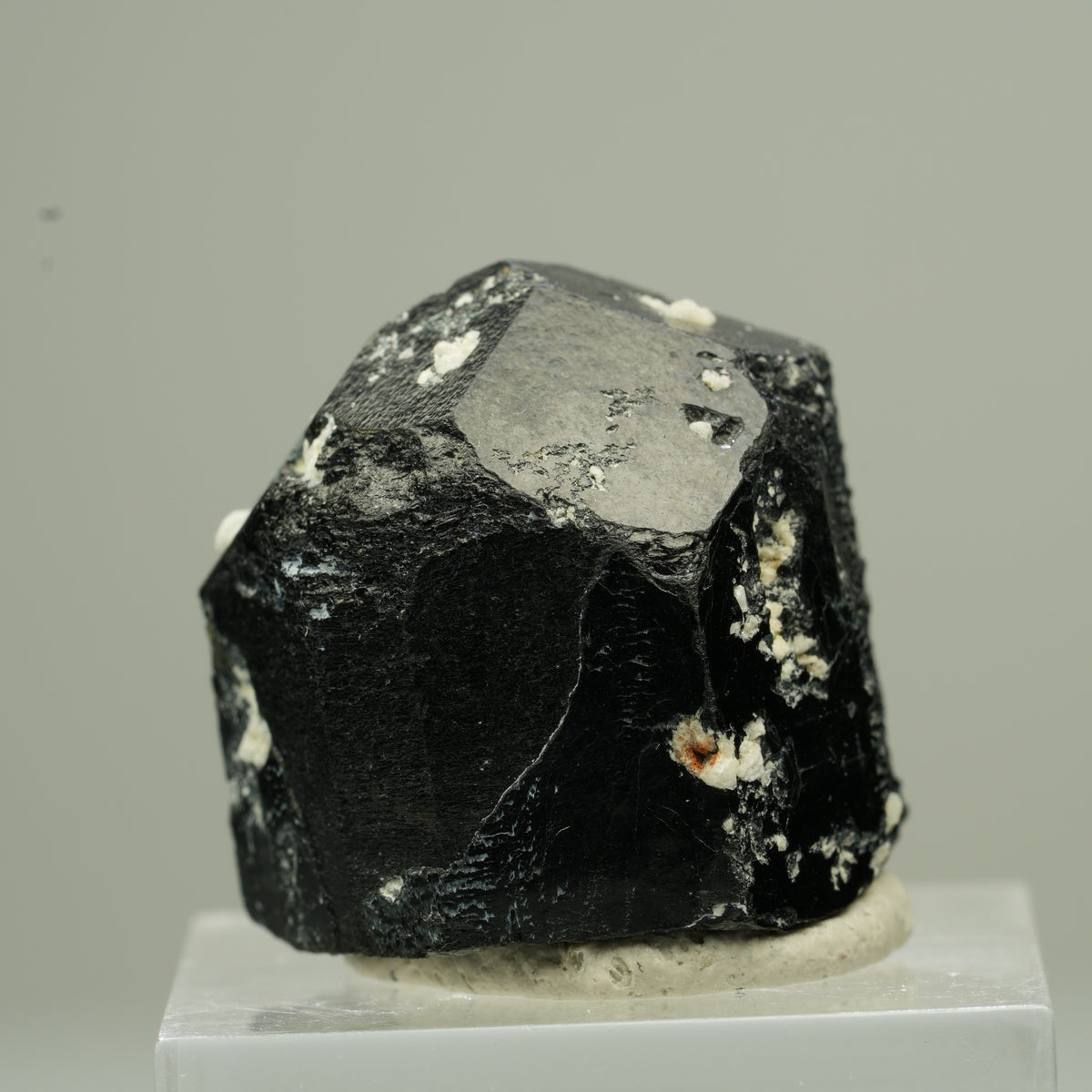 Seltener Schörl Turmalin Kristall mit Orthoklas, schwarz Erongo, Namibia 22*22*21mm #13788