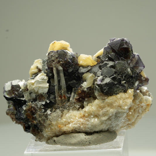 Bunte Phantom Fluorit, Schörl Turmalin, Muskovit, Rauchquarz Erongo, Namibia 46*31*27mm #13828