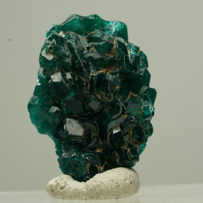 Seltene Dioptas XX Stufe, grün Kaokoveld, Namibia 24*17*8mm #13842