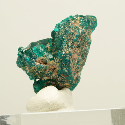 Seltene Dioptas XX Stufe, grün Republik Kongo 24*14*13mm #13884