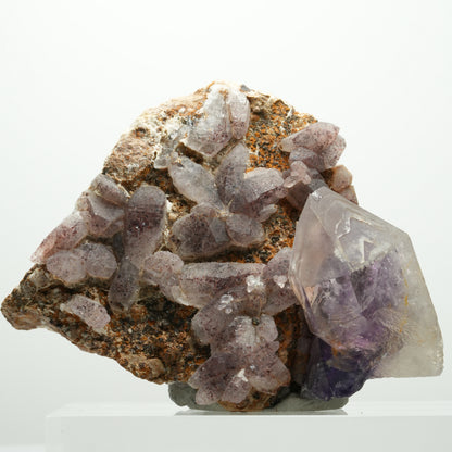 Skelett Phantom Amethyst Eisen Zepter auf Matrix Brandberg, Namibia 84*62*41mm #13894