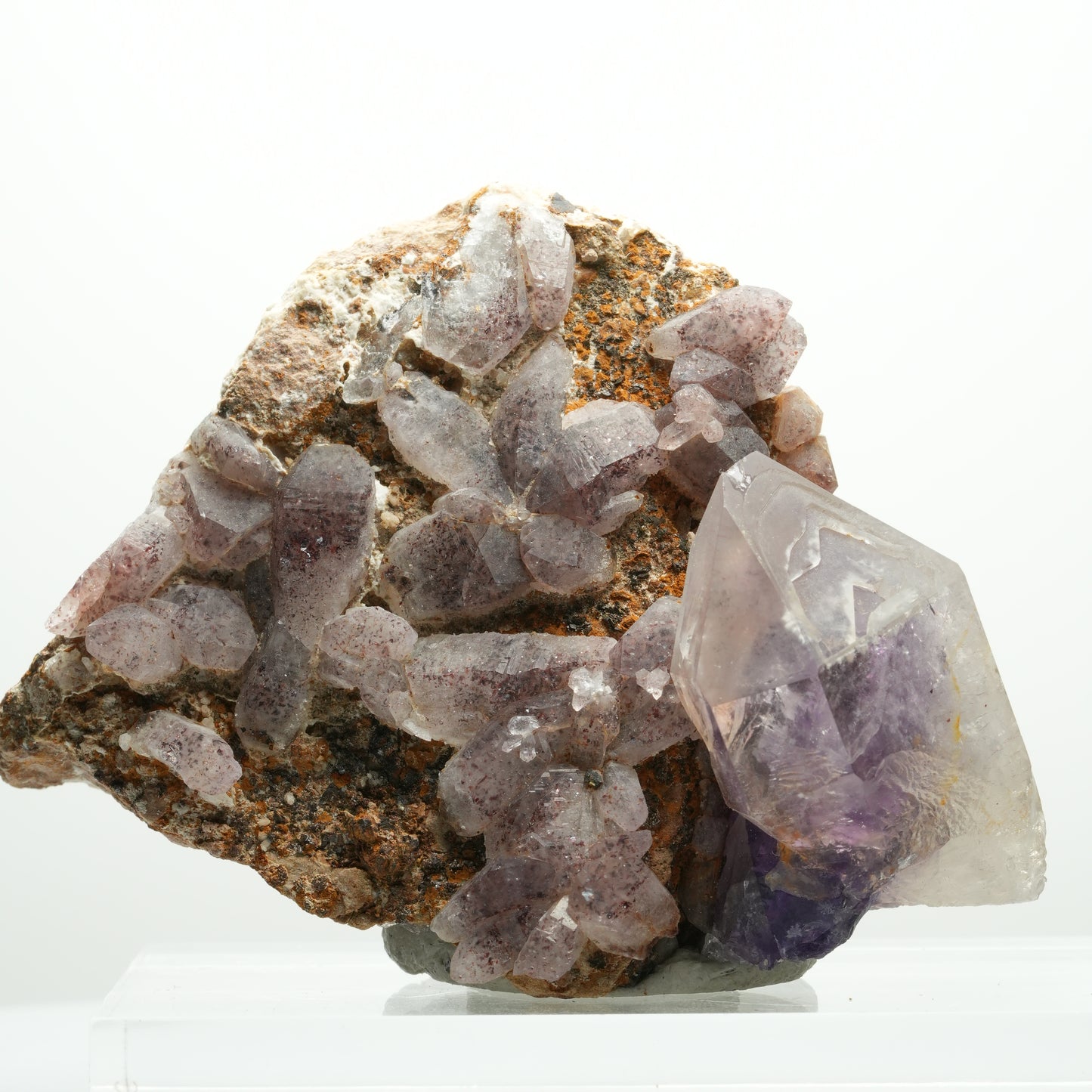 Skelett Phantom Amethyst Eisen Zepter auf Matrix Brandberg, Namibia 84*62*41mm #13894