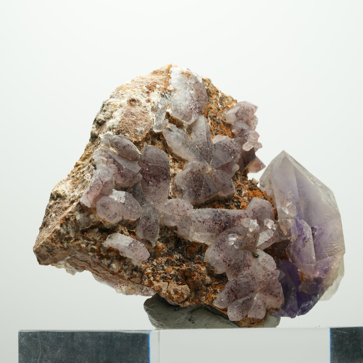 Skelett Phantom Amethyst Eisen Zepter auf Matrix Brandberg, Namibia 84*62*41mm #13894