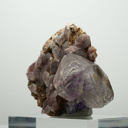 Skelett Phantom Amethyst Eisen Zepter auf Matrix Brandberg, Namibia 84*62*41mm #13894