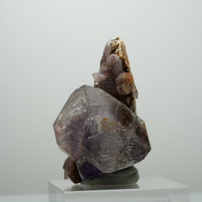 Skelett Phantom Amethyst Eisen Zepter auf Matrix Brandberg, Namibia 84*62*41mm #13894
