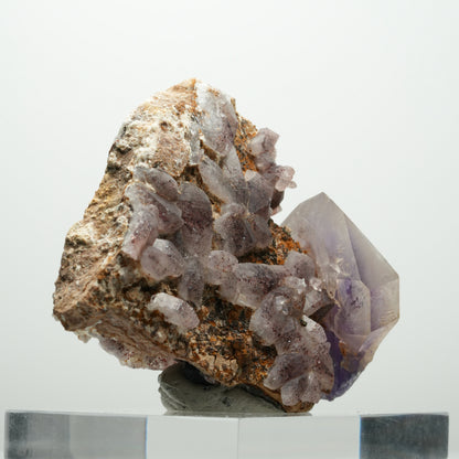 Skelett Phantom Amethyst Eisen Zepter auf Matrix Brandberg, Namibia 84*62*41mm #13894