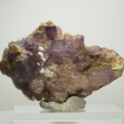 Skelett Phantom Amethyst Eisen Zepter auf Matrix Brandberg, Namibia 96*62*31mm #13895