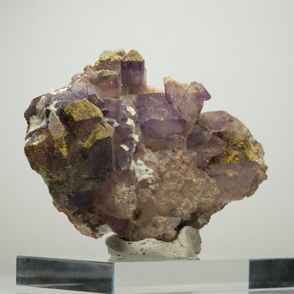 Skelett Phantom Amethyst Eisen Zepter auf Matrix Brandberg, Namibia 96*62*31mm #13895