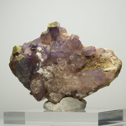 Skelett Phantom Amethyst Eisen Zepter auf Matrix Brandberg, Namibia 96*62*31mm #13895