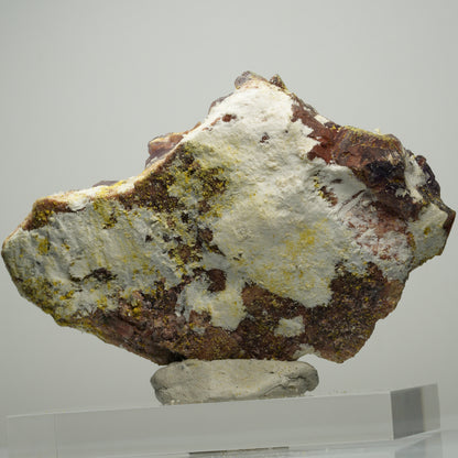 Skelett Phantom Amethyst Eisen Zepter auf Matrix Brandberg, Namibia 96*62*31mm #13895