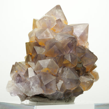 Seltene Phantom Amethyst Zepter Stufe, doppelseitig Goboboseb Namibia 75*65*49mm #13896