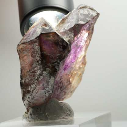 Skelett Phantom Amethyst Eisen Zepter Stufe Brandberg, Namibia 56*45*29mm #13900