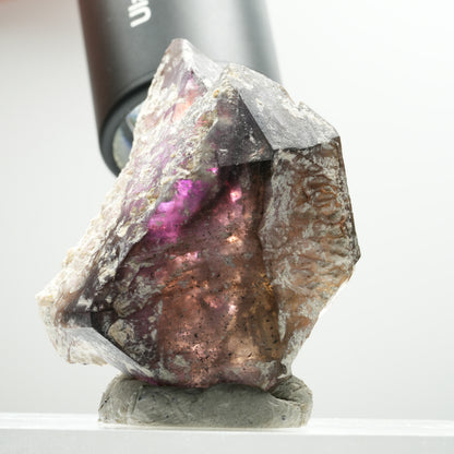 Skelett Phantom Amethyst Eisen Zepter Stufe Brandberg, Namibia 56*45*29mm #13900