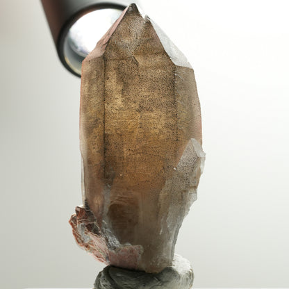 Seltene Skelett Phantom Amethyst Spitze Brandberg, Namibia 83*44*27mm #13903