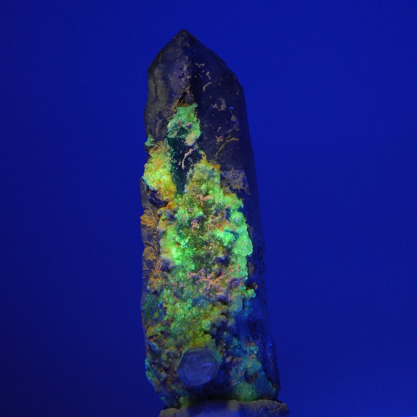 Phantom Rauchquarz, Goshenit (Beryl), Hyalit, Schörl Turmalin Erongo, Namibia 79*26*25mm #13904