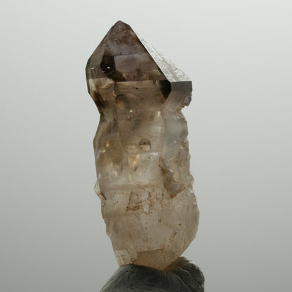 Seltene Phantom Amethyst Skelett Zepter Spitze Goboboseb, Namibia 55*24*16mm #13910