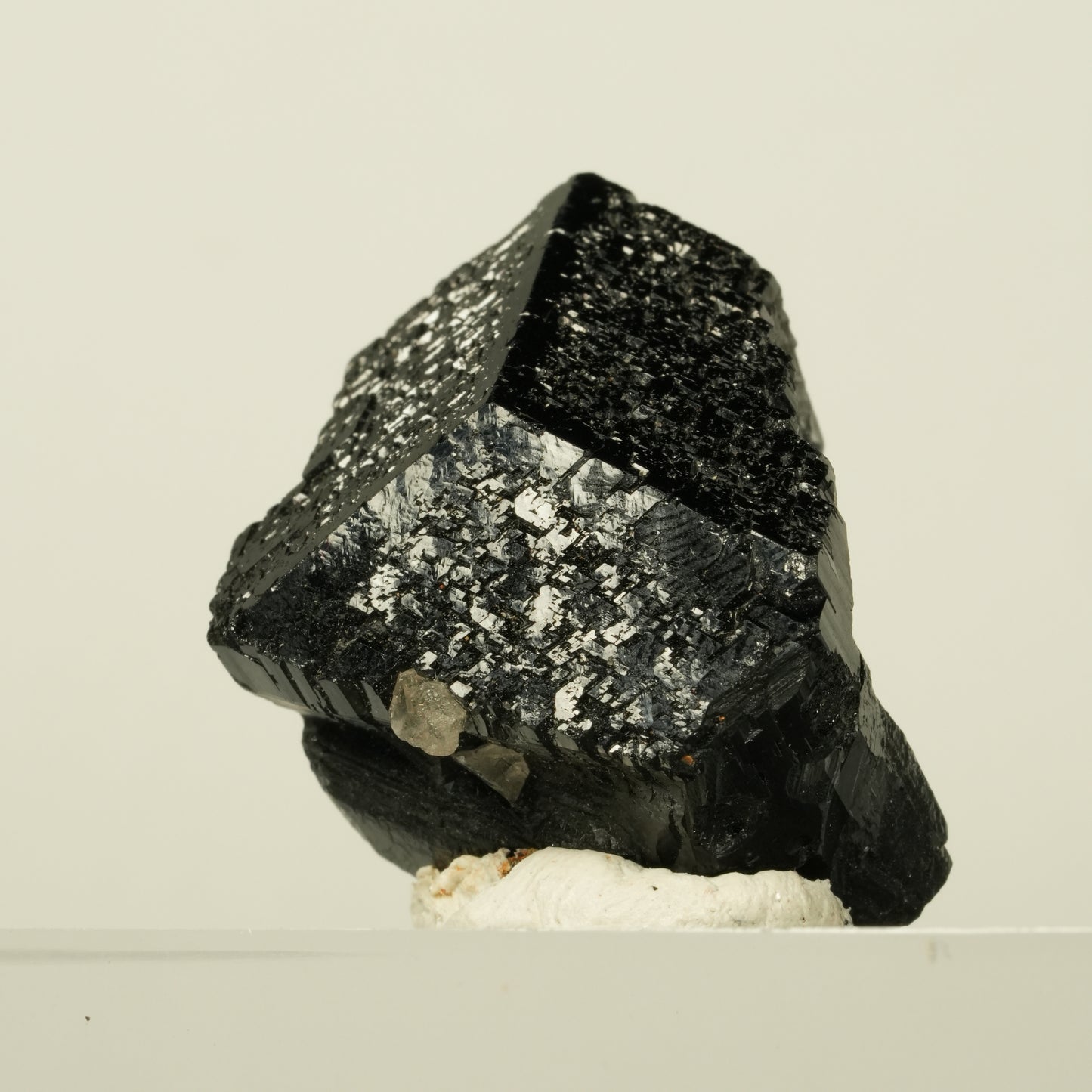 Symmetrischer Schörl Turmalin Kristall mit Rauchquarz Erongo, Namibia 30*25*20mm #13935