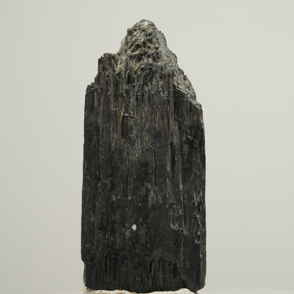 Schöner Schörl Turmalin X Kristall, länglich Erongo, Namibia 51*23*22mm #13941
