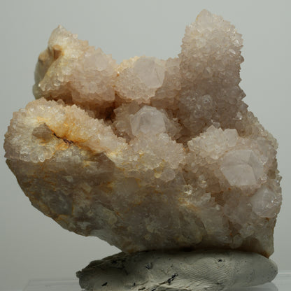 Seltene Kaktus Quarz, Spirit Quarz Stufe Boekenhouthoek, Südafrika 76*72*47mm #13957