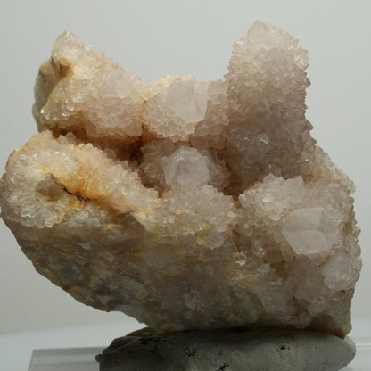 Seltene Kaktus Quarz, Spirit Quarz Stufe Boekenhouthoek, Südafrika 76*72*47mm #13957