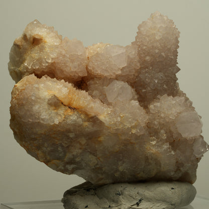 Seltene Kaktus Quarz, Spirit Quarz Stufe Boekenhouthoek, Südafrika 76*72*47mm #13957