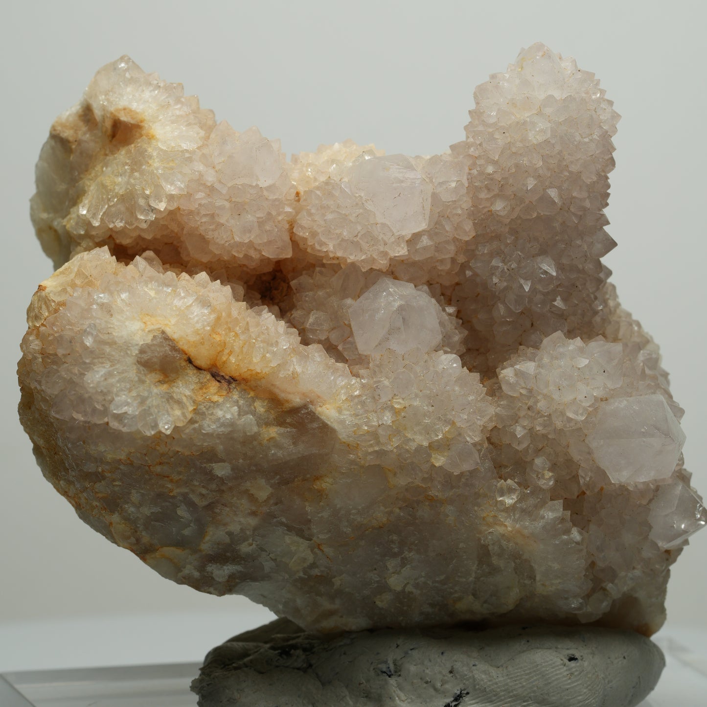 Seltene Kaktus Quarz, Spirit Quarz Stufe Boekenhouthoek, Südafrika 76*72*47mm #13957