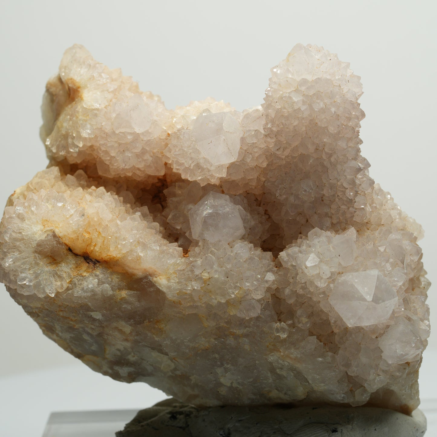 Seltene Kaktus Quarz, Spirit Quarz Stufe Boekenhouthoek, Südafrika 76*72*47mm #13957