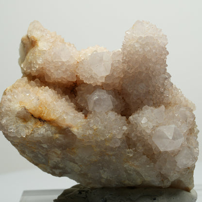 Seltene Kaktus Quarz, Spirit Quarz Stufe Boekenhouthoek, Südafrika 76*72*47mm #13957