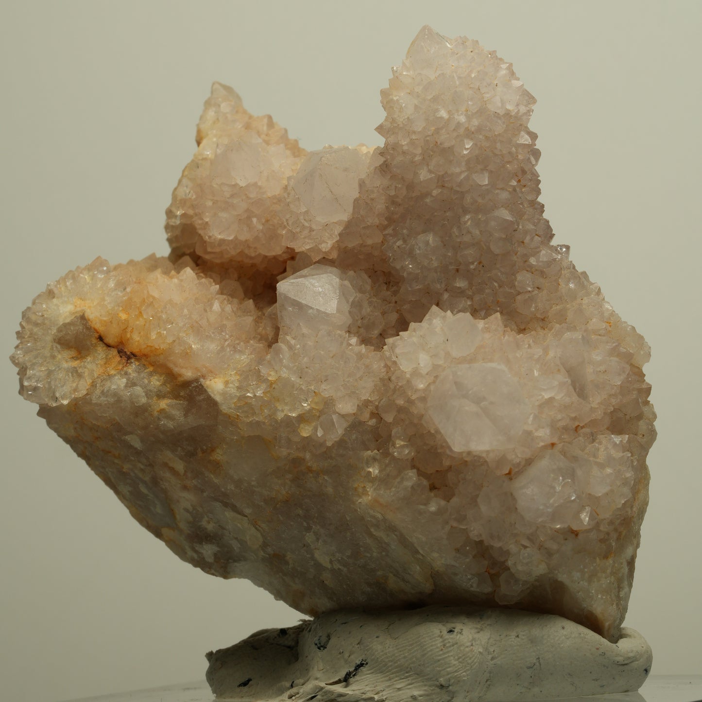 Seltene Kaktus Quarz, Spirit Quarz Stufe Boekenhouthoek, Südafrika 76*72*47mm #13957