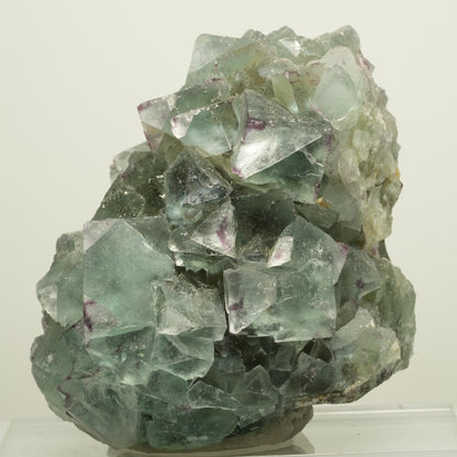 Seltene Phantom Fluorit Würfel Stufe, grün lila Okorusu, Namibia 65*65*58mm #13958