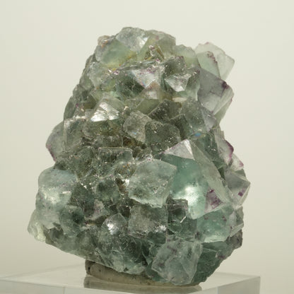 Seltene Phantom Fluorit Würfel Stufe, grün lila Okorusu, Namibia 65*65*58mm #13958