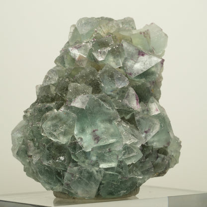 Seltene Phantom Fluorit Würfel Stufe, grün lila Okorusu, Namibia 65*65*58mm #13958