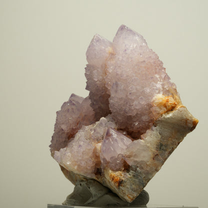 Seltene Kaktus Amethyst, Spirit Quarz Stufe, lila Boekenhouthoek, Südafrika 90*69*64mm #13959