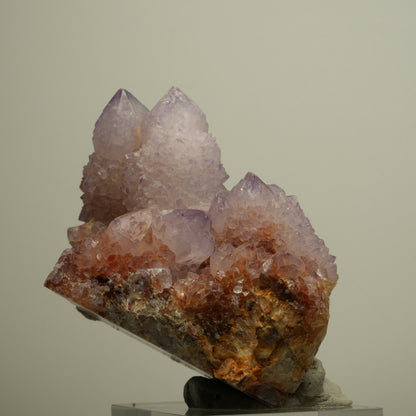Seltene Kaktus Amethyst, Spirit Quarz Stufe, lila Boekenhouthoek, Südafrika 90*69*64mm #13959