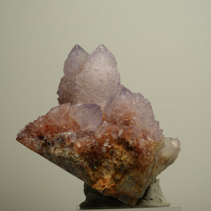 Seltene Kaktus Amethyst, Spirit Quarz Stufe, lila Boekenhouthoek, Südafrika 90*69*64mm #13959