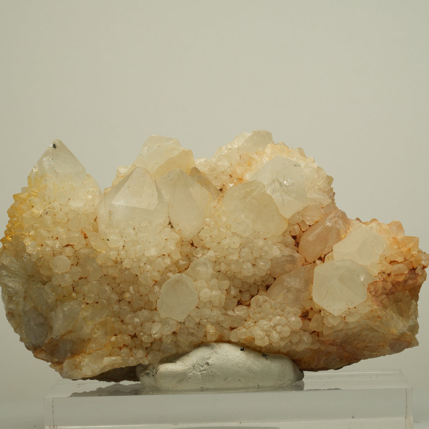 Seltene Kaktus Quarz, Spirit Quarz Stufe Boekenhouthoek, Südafrika 97*55*42mm #13960