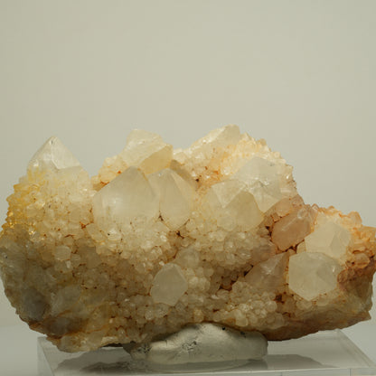 Seltene Kaktus Quarz, Spirit Quarz Stufe Boekenhouthoek, Südafrika 97*55*42mm #13960