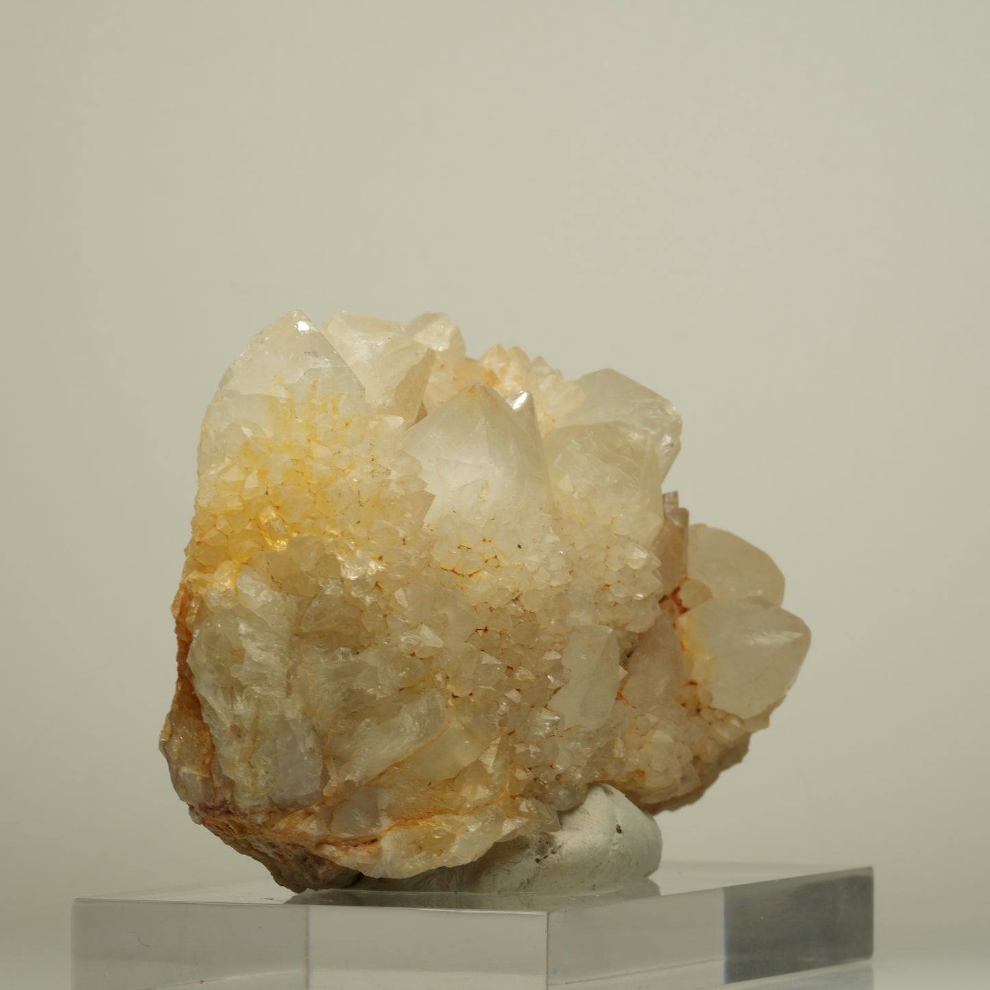 Seltene Kaktus Quarz, Spirit Quarz Stufe Boekenhouthoek, Südafrika 97*55*42mm #13960