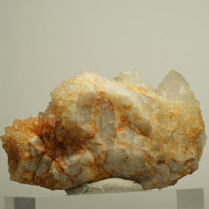 Seltene Kaktus Quarz, Spirit Quarz Stufe Boekenhouthoek, Südafrika 97*55*42mm #13960