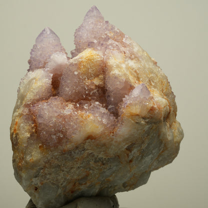 Seltene Kaktus Amethyst, Spirit Quarz Stufe, lila Boekenhouthoek, Südafrika 89*85*77mm #13963