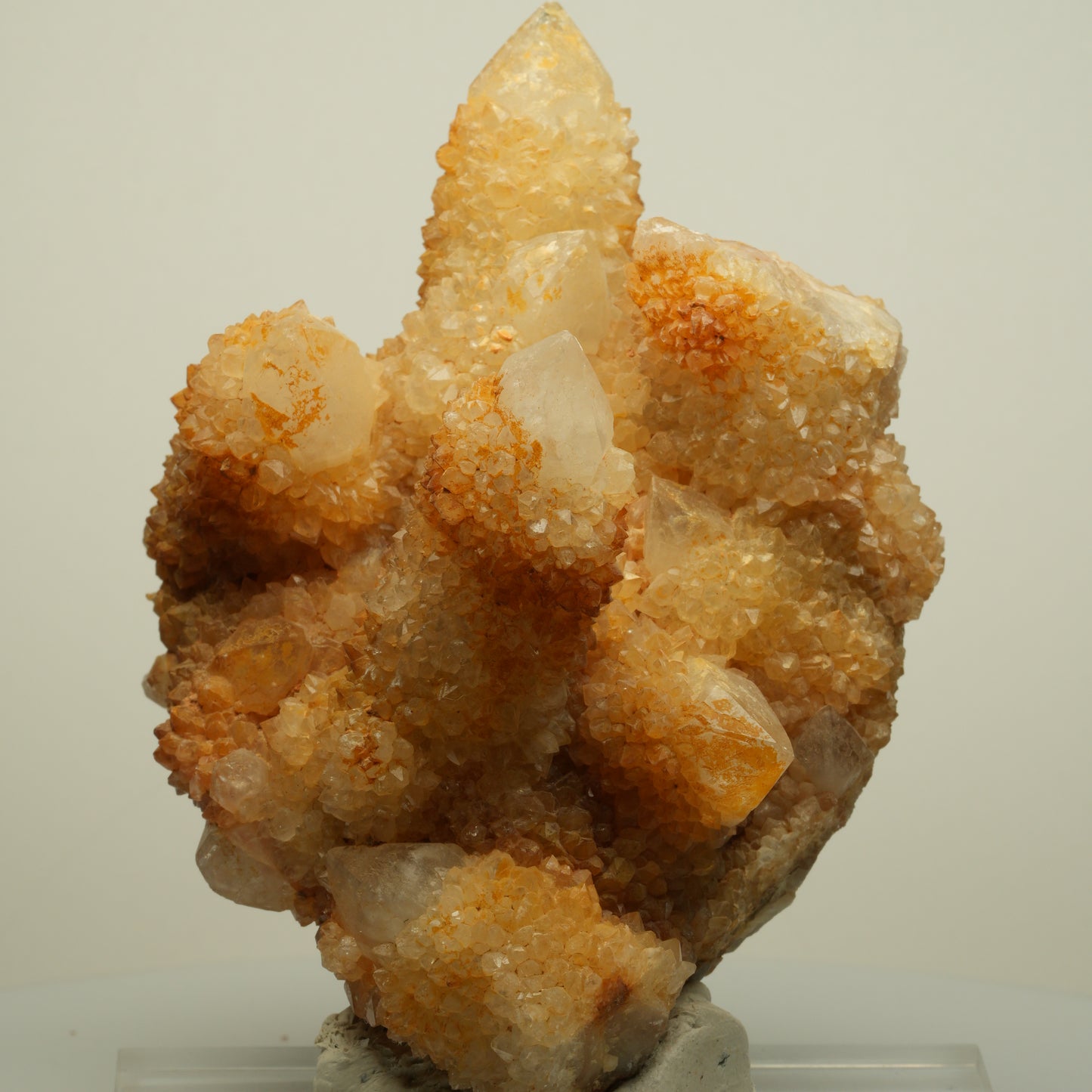 Seltene Kaktus Quarz, Spirit Quarz Stufe Boekenhouthoek, Südafrika 84*71*64mm #13964