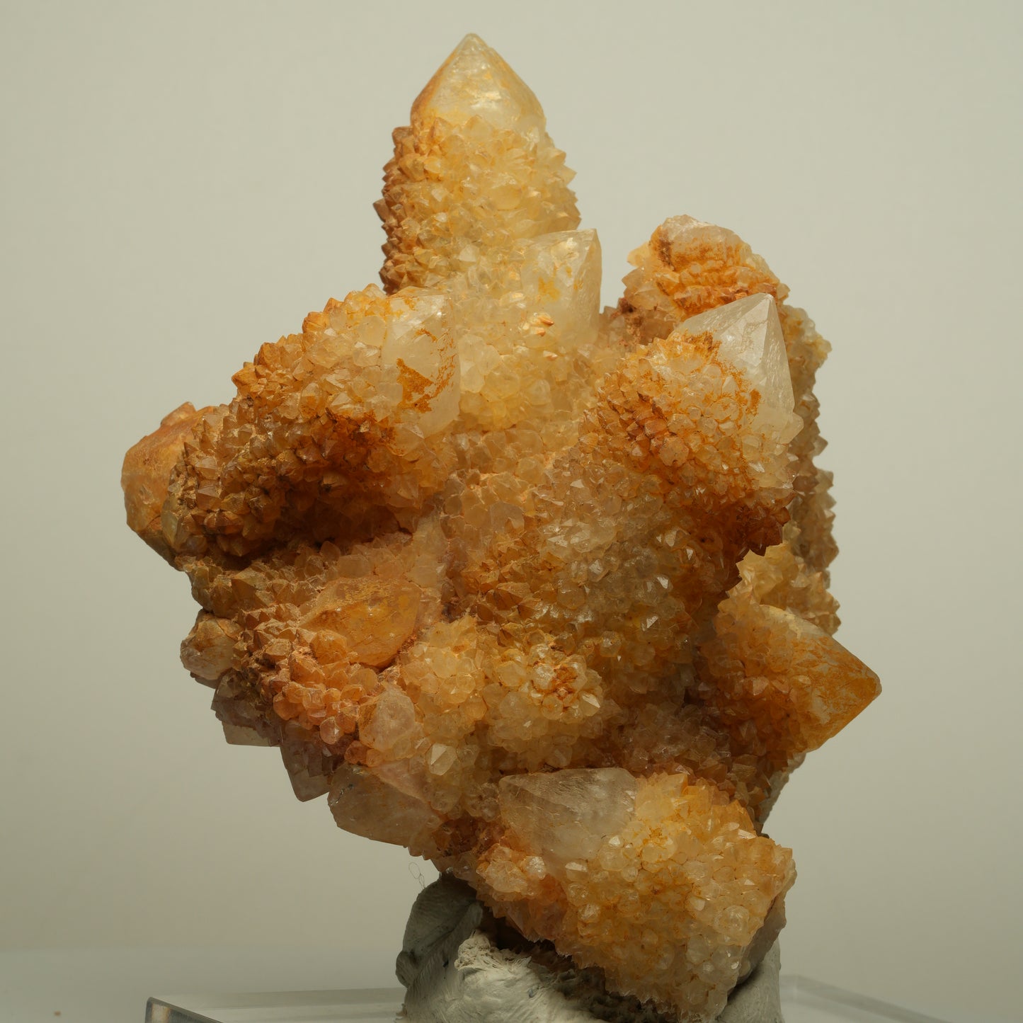 Seltene Kaktus Quarz, Spirit Quarz Stufe Boekenhouthoek, Südafrika 84*71*64mm #13964