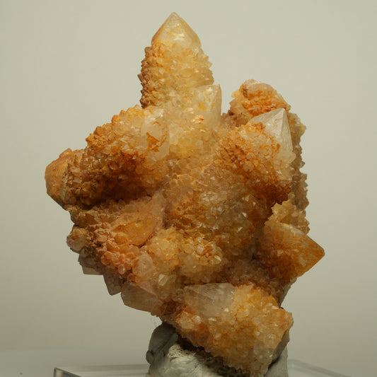 Seltene Kaktus Quarz, Spirit Quarz Stufe Boekenhouthoek, Südafrika 84*71*64mm #13964